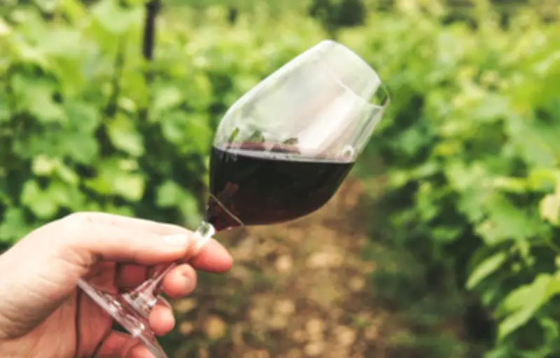 5 vins français à moins de 10 euros sélectionnés chez Cdiscount