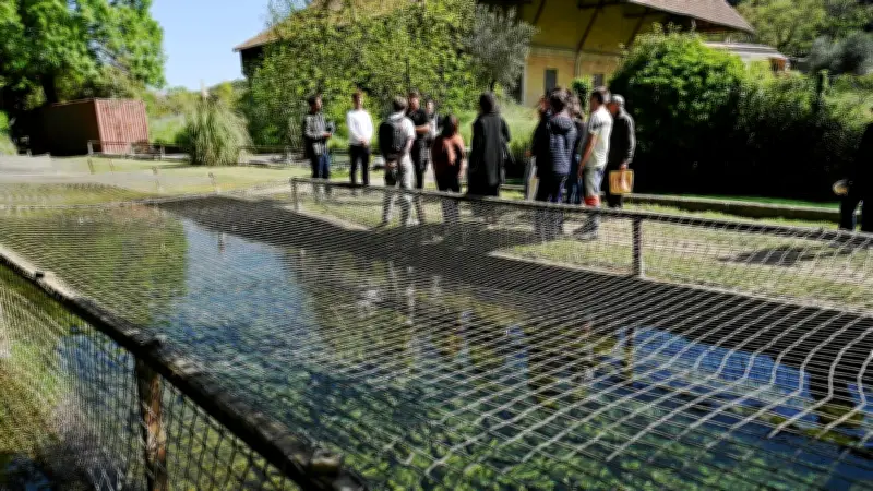 60 fermes du Gard ouvrent leurs portes pour l'opération "De Ferme en Ferme"