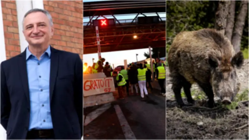 70 millions pour SLB, sanglier interdit, Gilets jaunes au tribunal