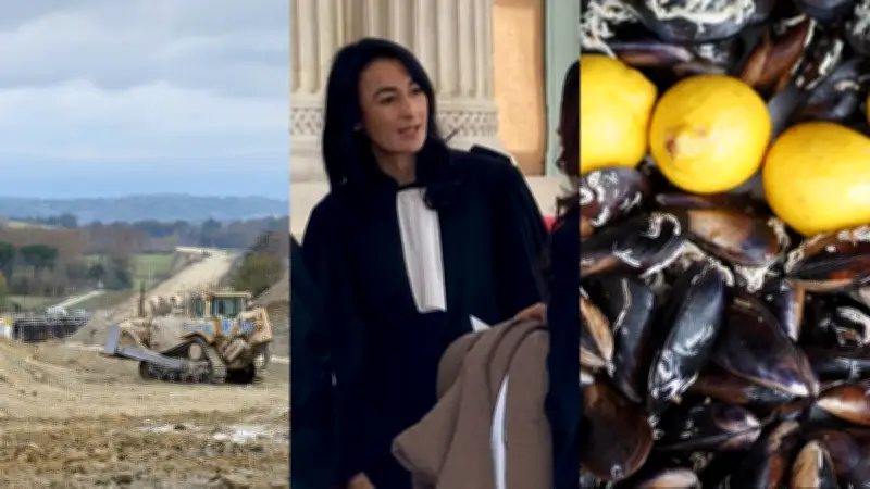 A69 suspendu, avocate suspendue, moules menacées : l'actu région