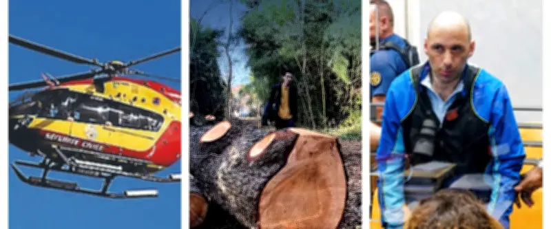A9 : trois morts, colère contre abattage d'arbres, Jubillar devant la justice