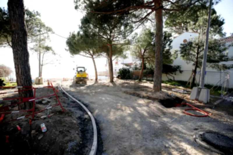 Abattage d'un pin parasol à la Pinède Gould d'Antibes : une décision municipale controversée