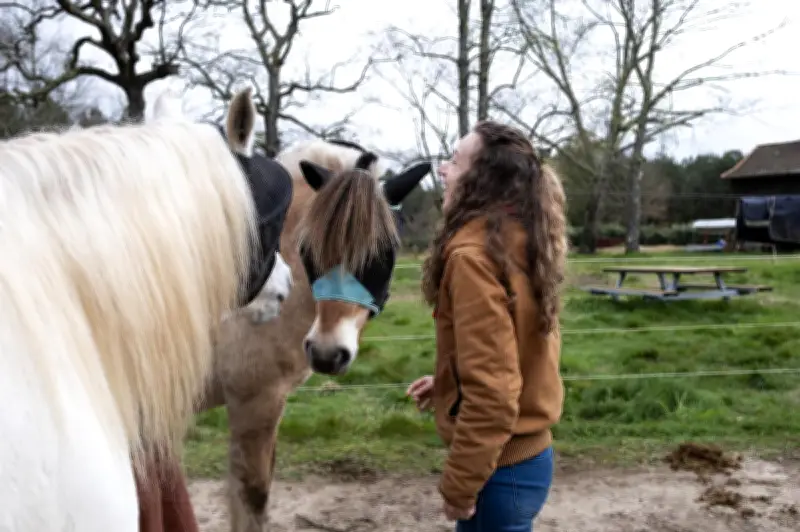 Adeline Marmont crée Équinéa, un centre équestre éthologique à Saint-Perdon