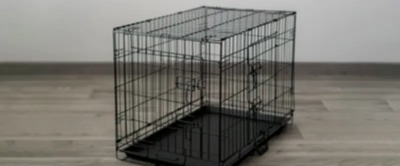 Adolescente violée et séquestrée dans une cage pour chien pendant sept ans