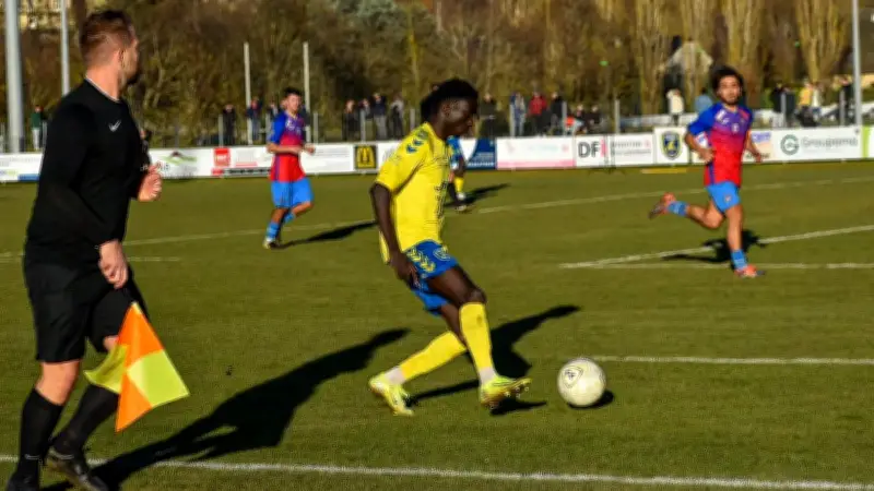 AFL battu à domicile : Narbonne s'impose sur un réalisme froid