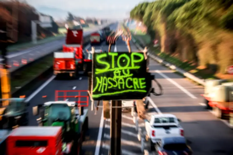 Agriculture et agroalimentaire français : l'effondrement de l'excédent commercial face à la surfiscalité