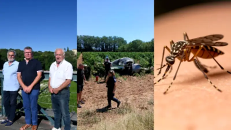 Alerte des maires sur les plongeons dangereux, avion dans les vignes, chikungunya : actu régionale