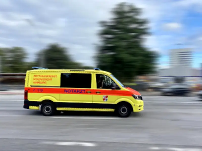 Allemagne : Trois morts dont un bébé lors d'une chasse aux œufs de Pâques après la chute d'un arbre