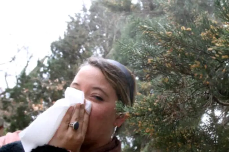 Allergies au pollen : Véronique Lustgarten alerte sur les risques graves pour la santé publique