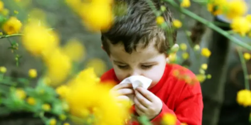 Allergies aux pollens chez l'enfant : symptômes, diagnostic et traitements