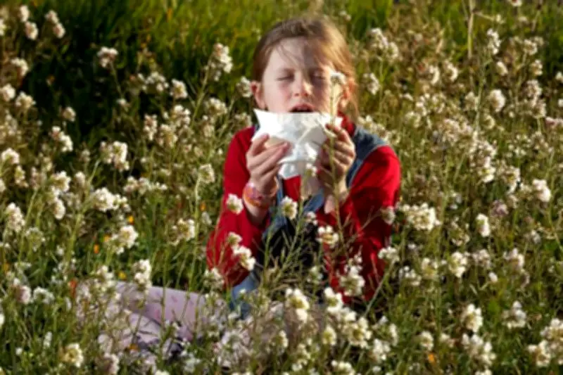 Allergies scolaires : quand les pollens et acariens sabotent la réussite des élèves