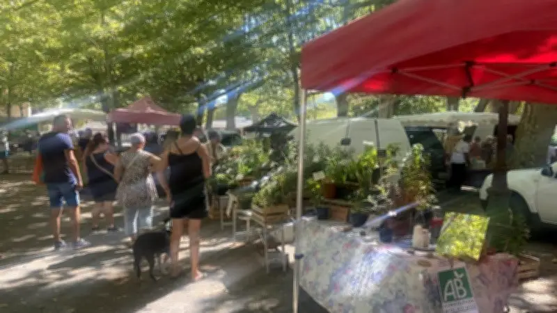 Allègre-les-Fumades adopte un compte financier unique et prépare son marché estival