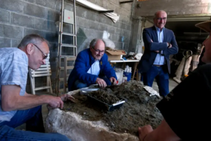 Angeac-Charente : Dans les coulisses méconnues de la restauration des fossiles de dinosaures