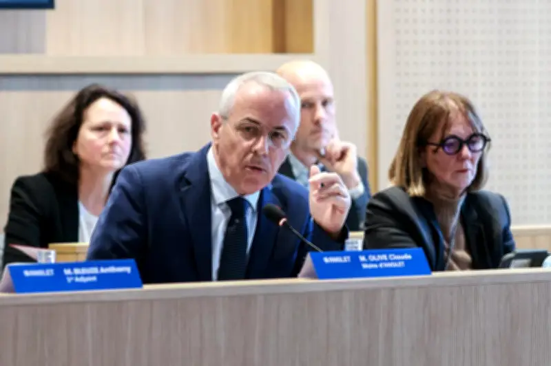 Anglet envisage une plage dédiée aux animaux toute l'année après des incidents