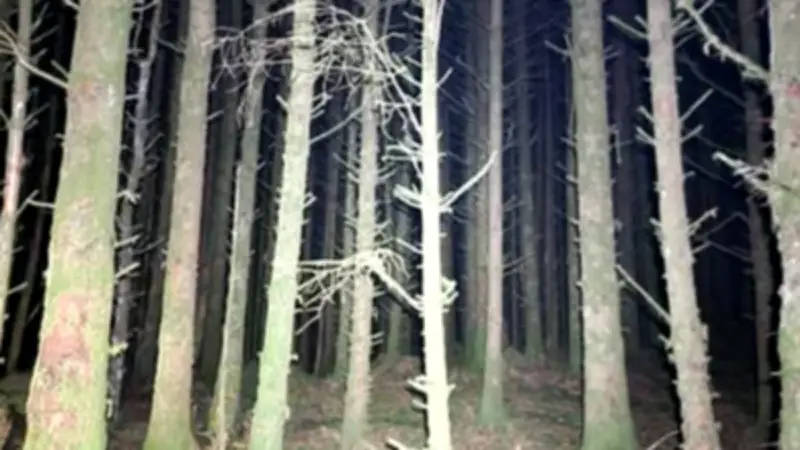 Angleterre : un randonneur endormi retrouvé après une disparition inquiétante