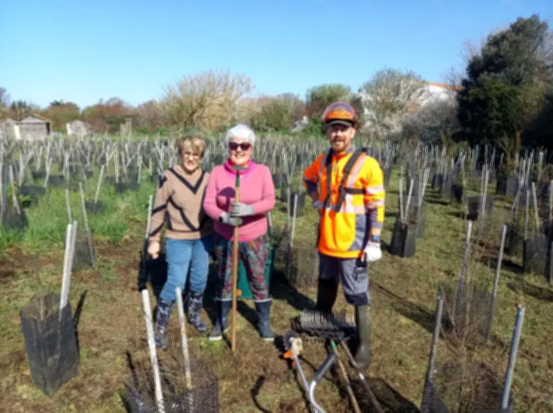 À Angoulins, la microforêt communautaire prend racine