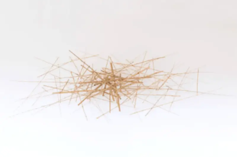 Antibes Art Fair : Régis Lesserteur expose ses sculptures en bambou graphiques et délicates