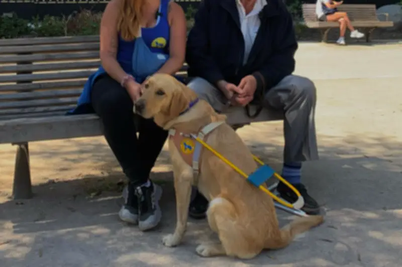 Antibes : Gérard accueille Uria, son nouveau chien guide d'aveugle