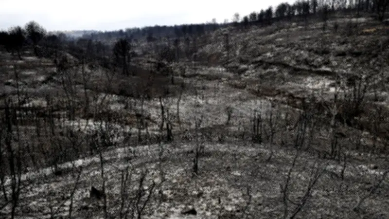 Août 2025 : incendie géant, Van Damme opéré, Malgouyres libre