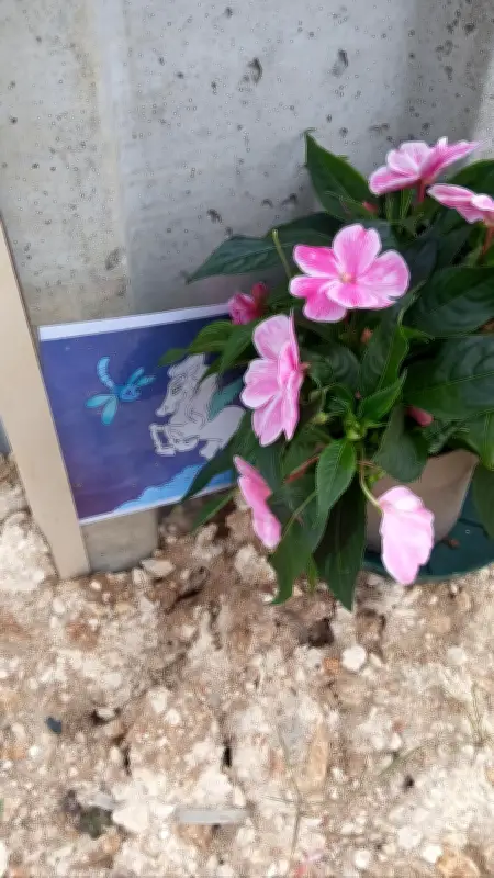 Appel d'une grand-mère pour entretenir le mémorial de sa petite-fille à Pons