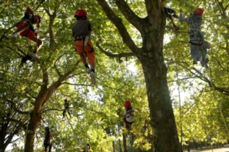 Arbre en fête à Saintes : une journée dédiée à la nature et au paysage