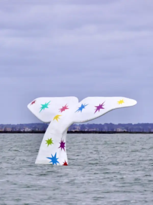 Arcachon : la queue de baleine multicolore réinstallée pour illuminer la ville jusqu'en 2026