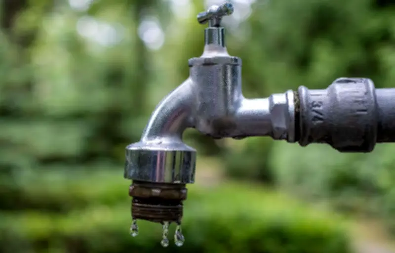 Ardennes : des maraîchers portent plainte après la contamination de leurs terres par les PFAS