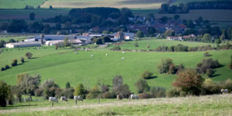 Ardennes : deux mineurs reconnaissent les faits dans l'affaire des retraités tués, requalifiée en assassinat