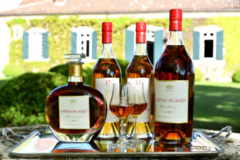 Armagnac : un circuit œnotouristique de 100 km pour découvrir la plus ancienne eau-de-vie de France