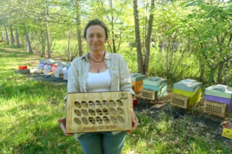 Arthak : une solution innovante pour protéger les abeilles du frelon asiatique
