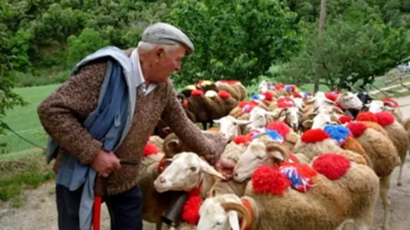 Atelier d'écriture sur le pastoralisme à Sumène : immersion littéraire en Cévennes