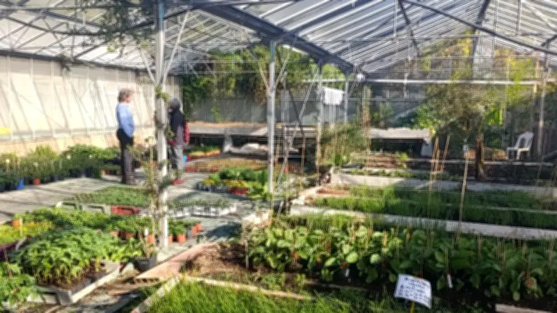 Ateliers jardinage gratuits aux B’io Serres de Lou Farayo