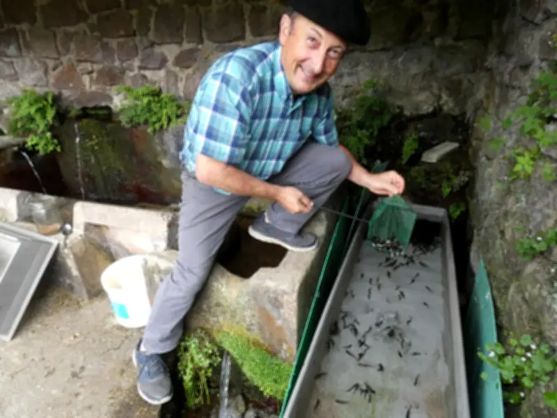 Au Pays basque, un ancien pisciculteur dépose 20 000 œufs de truite par an
