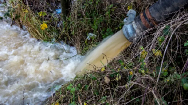 Australie : un locataire déverse 5 000 litres d'eaux usées dans sa maison après son expulsion