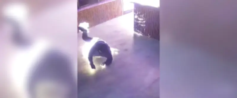 Australie : un pyromane rate son coup et prend feu accidentellement