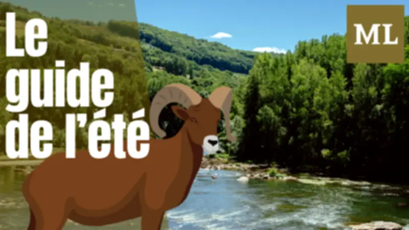 Aveyron : six idées de sorties nature entre lacs, falaises et fauconnerie