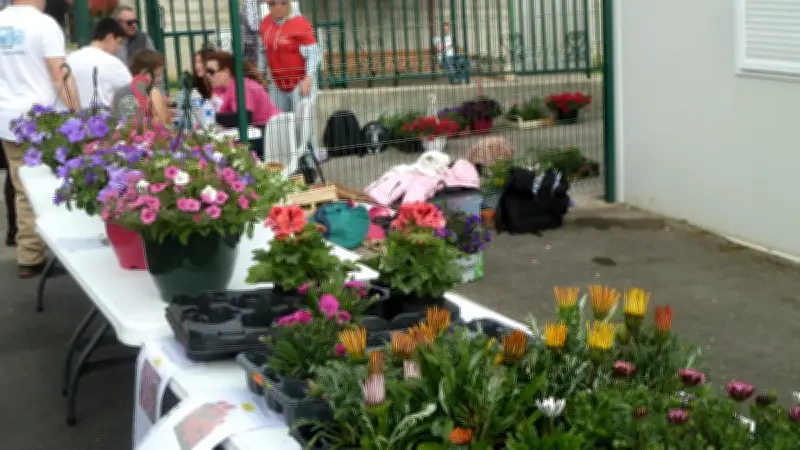 Baillargues : Marché aux plantes et tombola pour financer les projets scolaires