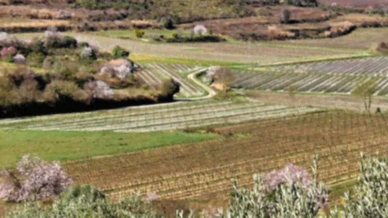 Balade artistique et botanique dans l'Hérault : entre vignes et poésie