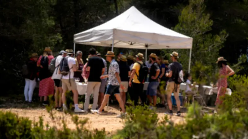Balade gourmande : immersion entre saveurs et paysages dans l'Hérault