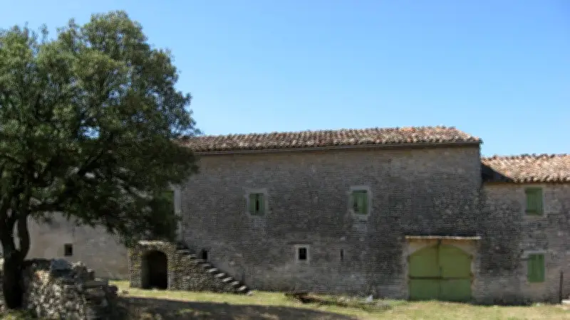 Balade ludique pour apprendre à lire le paysage dans la garrigue