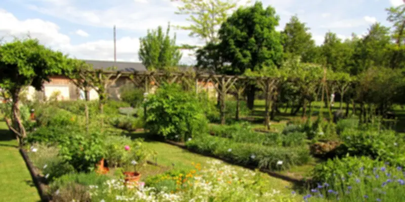 Balade à Milly-la-Forêt : du Cyclop au Conservatoire des plantes