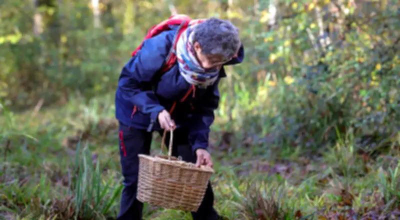 Balade printanière pour découvrir plantes comestibles et toxiques avec Cap'de Tout
