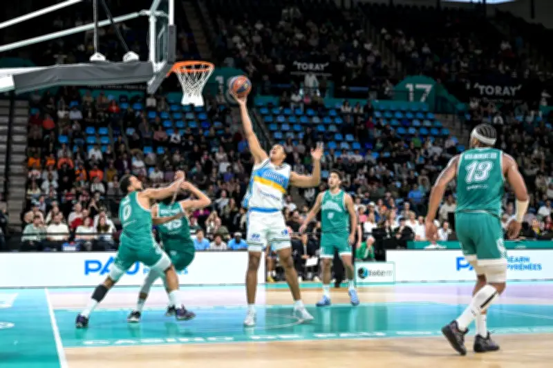 Basket : Antibes battu à Pau, la marche était trop haute
