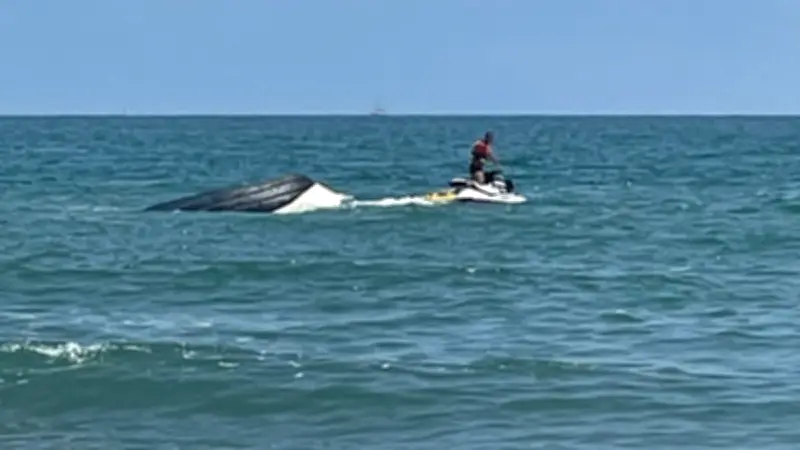 Bateau chavire à Palavas-les-Flots : cinq personnes sauves grâce aux gilets