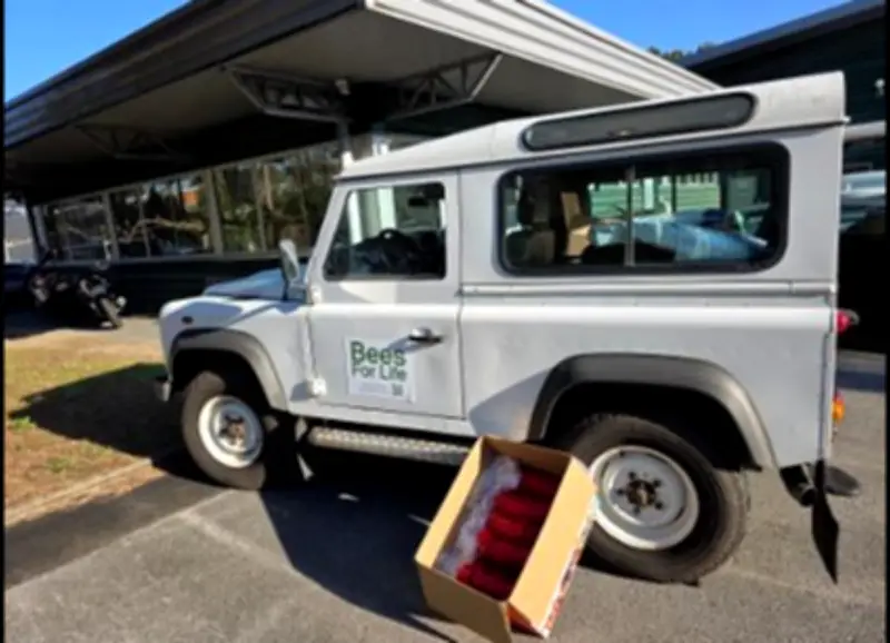 BeesForLifeAsso renforce son ancrage local pour protéger les abeilles à Capbreton