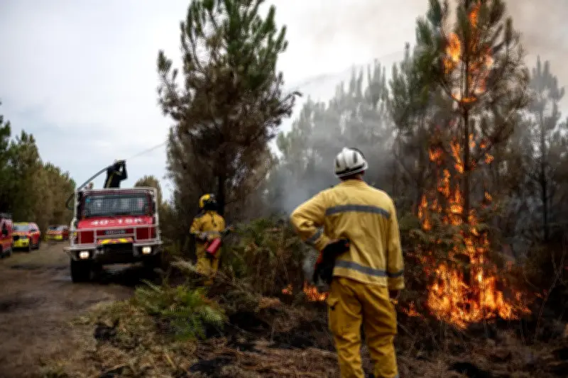 Bilan 2025 des incendies dans les Landes : 115 feux de forêt, 78 hectares brûlés