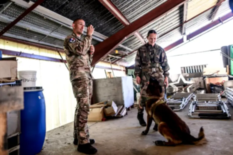 Billère met ses bâtiments à disposition des chiens militaires