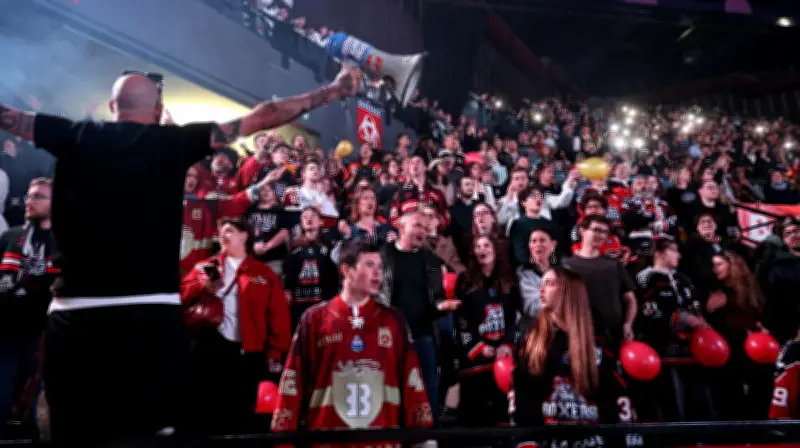 Bordeaux Boxers en Ligue Magnus : la patinoire Mériadeck vibre pour la finale historique