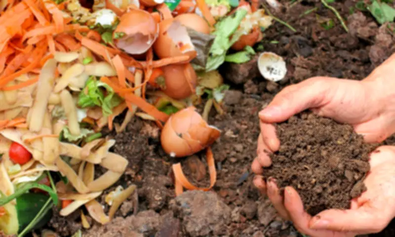 Bordeaux Métropole lance des ateliers gratuits de compostage et jardinage zéro déchet