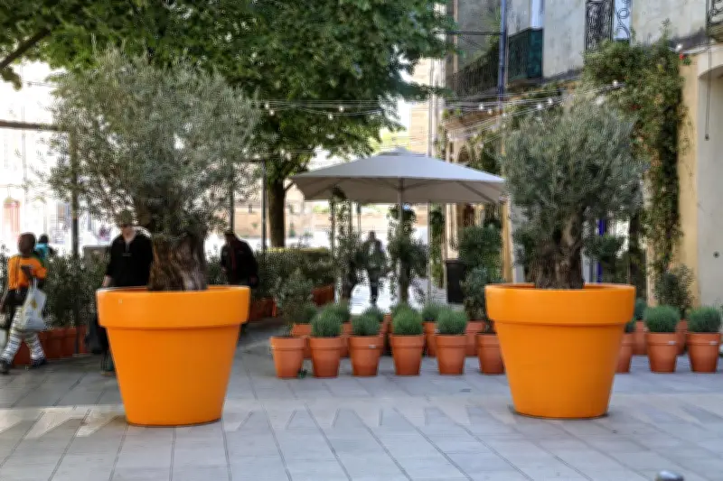 Bordeaux : un bar installe des pots de fleurs pour lutter contre le trafic de drogue